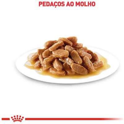 Ração Úmida Royal Canin Hair & Skin para Gatos