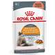 Ração Úmida Royal Canin Hair & Skin para Gatos