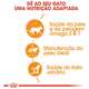 Ração Úmida Royal Canin Hair & Skin para Gatos