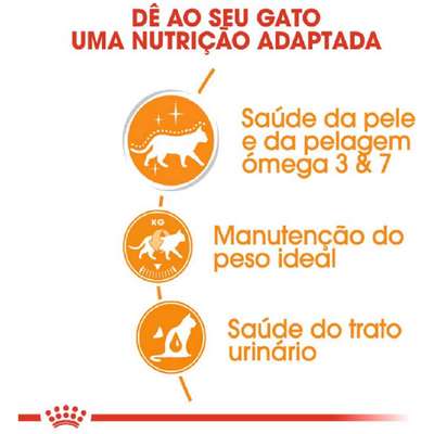 Ração Úmida Royal Canin Hair & Skin para Gatos