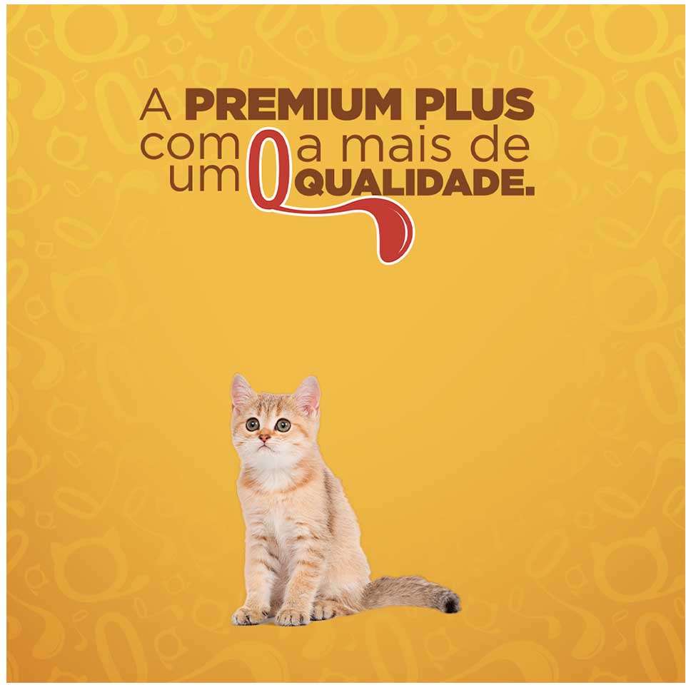 Ração Seca Quatree Gourmet Carne e Leite Gatos Filhotes - 10,1Kg