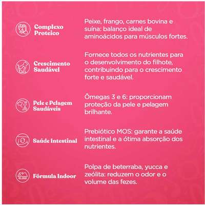 Ração Seca Quatree Gourmet Carne e Leite Gatos Filhotes