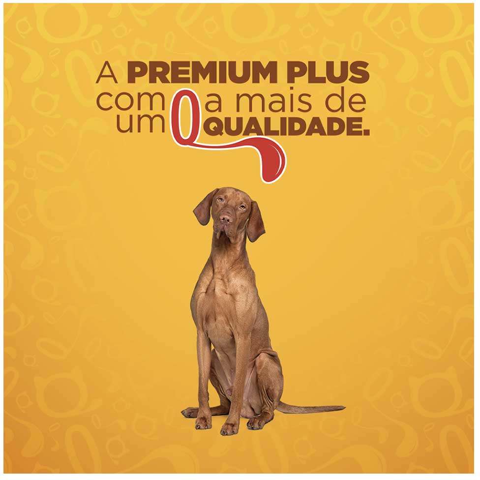 Ração Seca Quatree Gourmet Sem Corantes Cães Adultos Raças Médias e Grandes - 15Kg