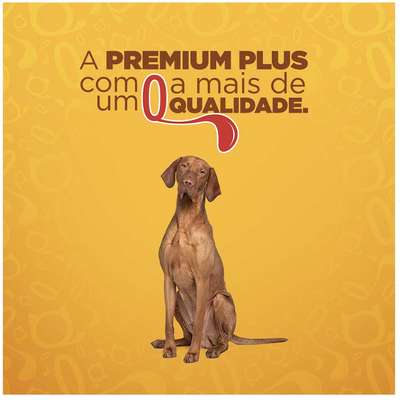 Ração Seca Quatree Gourmet Sem Corantes Cães Adultos Raças Médias e Grandes