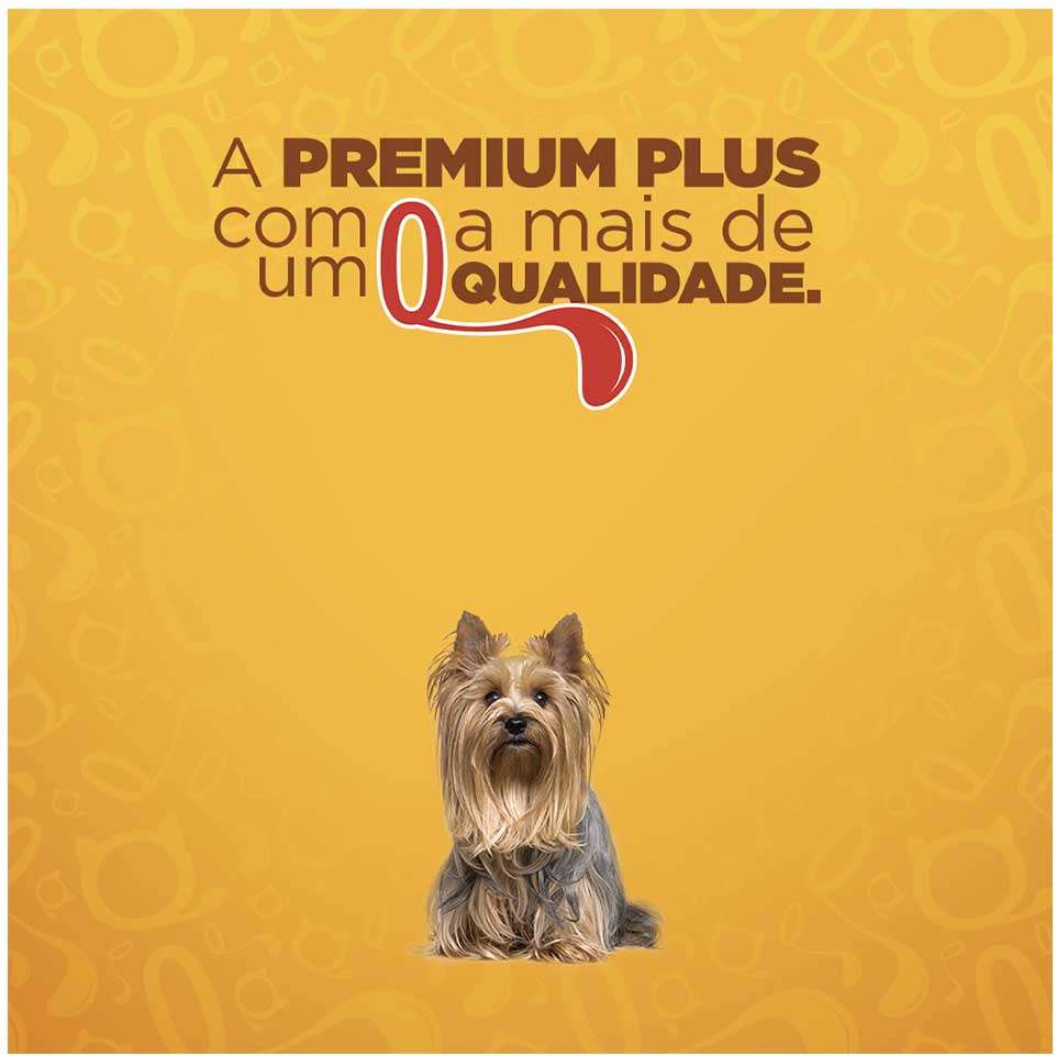 Ração Seca Quatree Gourmet Cães Adultos Raças Pequenas - 10,1Kg