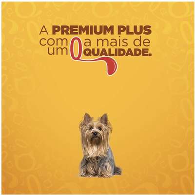 Ração Seca Quatree Gourmet Cães Adultos Raças Pequenas