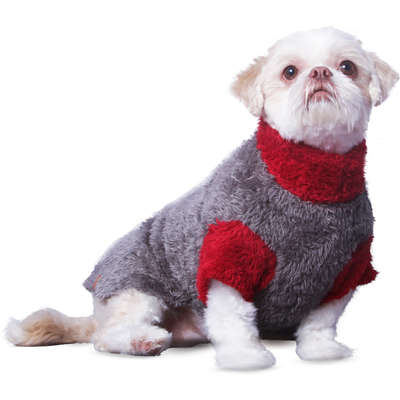 Moleton Pickorruchos Urso Felpudo Cinza