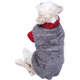 Moleton Pickorruchos Urso Felpudo Cinza