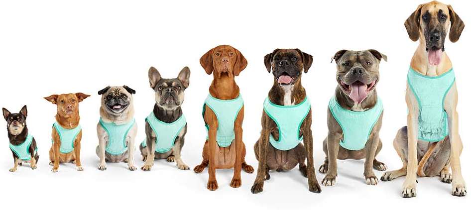 Colete Gelado GF Pet Tiffany para Cães - Tam. M
