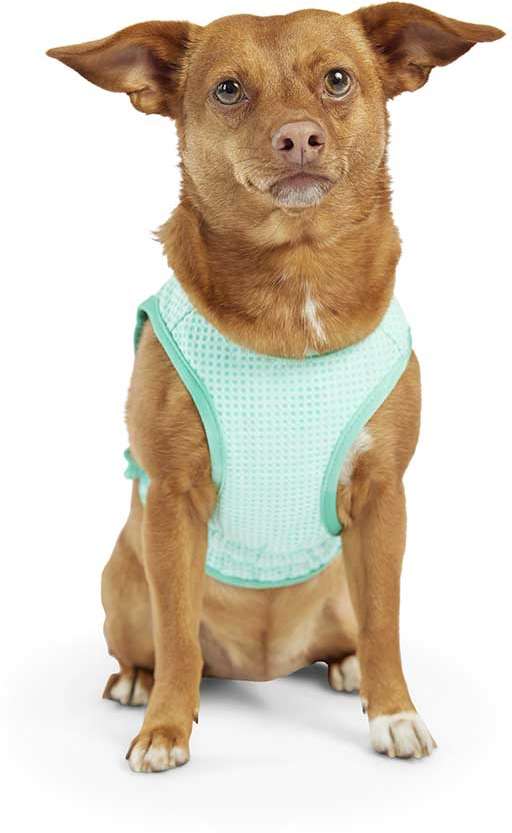 Colete Gelado GF Pet Tiffany para Cães - Tam. P