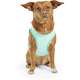 Colete Gelado GF Pet Tiffany para Cães