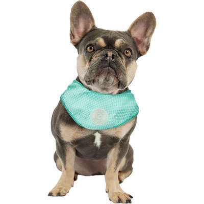 “Bandana Refrescante GF Pet Tiffany para Cães