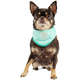 Bandana Refrescante GF Pet Tiffany para Cães