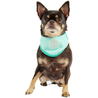 Bandana Refrescante GF Pet Tiffany para Cães