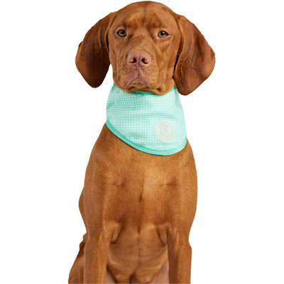 Bandana Refrescante GF Pet Tiffany para Cães