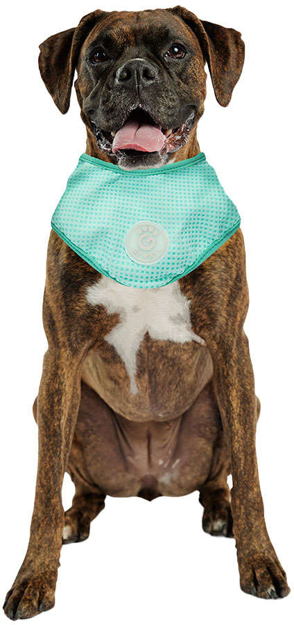 Bandana Refrescante GF Pet Tiffany para Cães - Tam. G