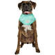 Bandana Refrescante GF Pet Tiffany para Cães