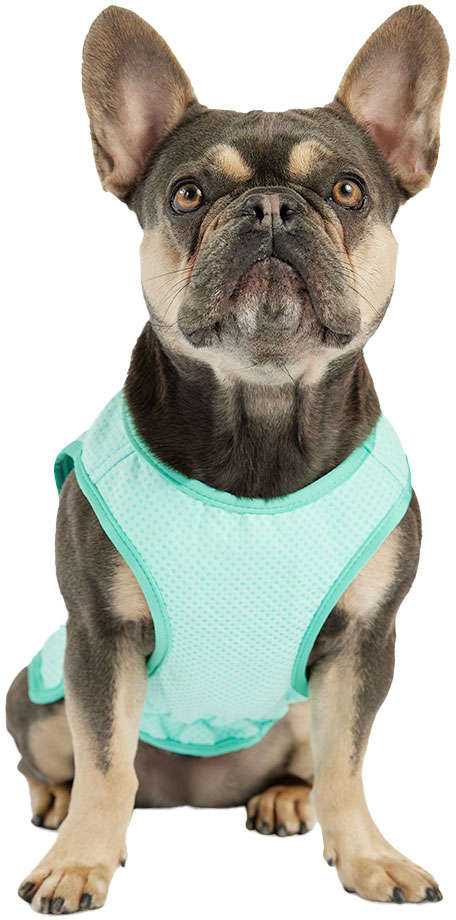 Colete Gelado GF Pet Tiffany para Cães - Tam. G