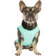 Colete Gelado GF Pet Tiffany para Cães