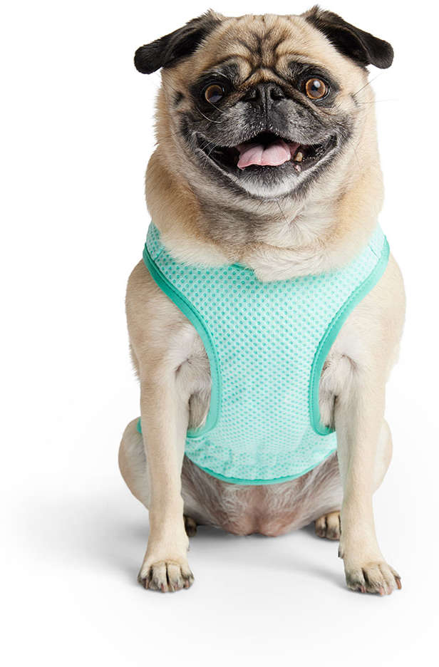 Colete Gelado GF Pet Tiffany para Cães - Tam. M