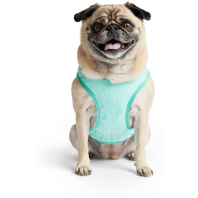 Colete Gelado GF Pet Tiffany para Cães