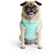 Colete Gelado GF Pet Tiffany para Cães - Tam. M