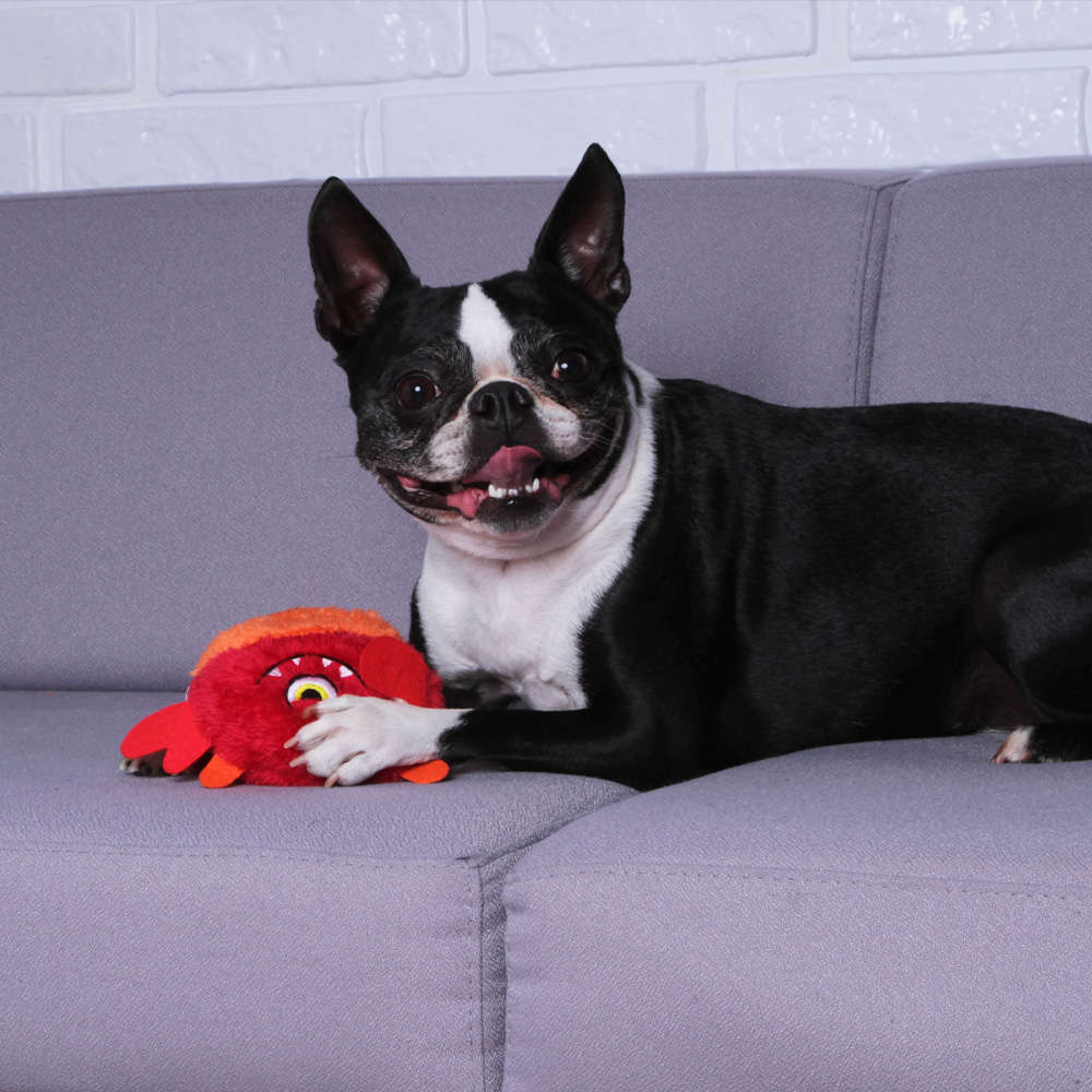 Brinquedo Pelúcia Kroco Monstrinho Vermelho para Cães - Tam. Único