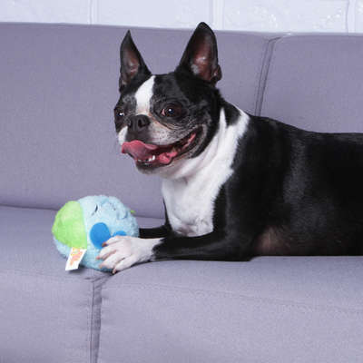 Brinquedo Pelúcia Kroco Monstrinho Azul para Cães