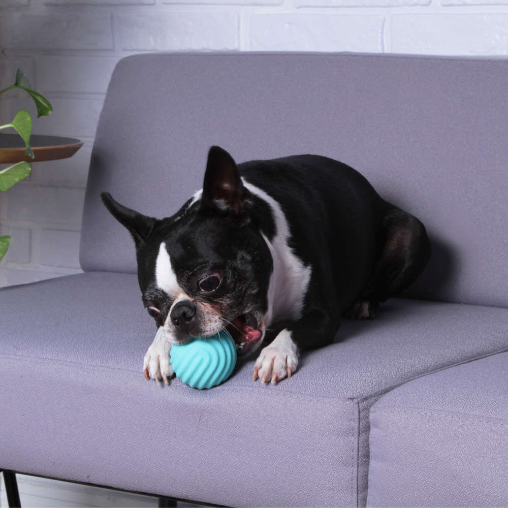 Bolinha Ondas Kroco Verde Água para Cães - Tam. Único