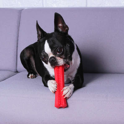 Brinquedo Mordedor Kroco Escova Vermelho para Cães
