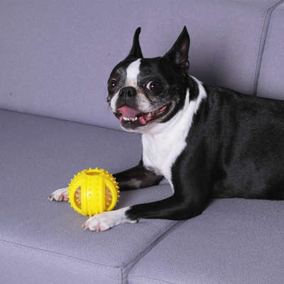 Bola com Luz Piscante Kroco Amarela para Cães