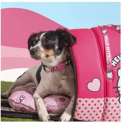 Bolsa de Transporte FreeFaro Hello Kitty