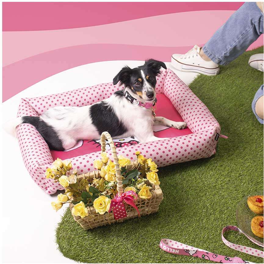 Cama Estampada FreeFaro Hello Kitty - Tam. P