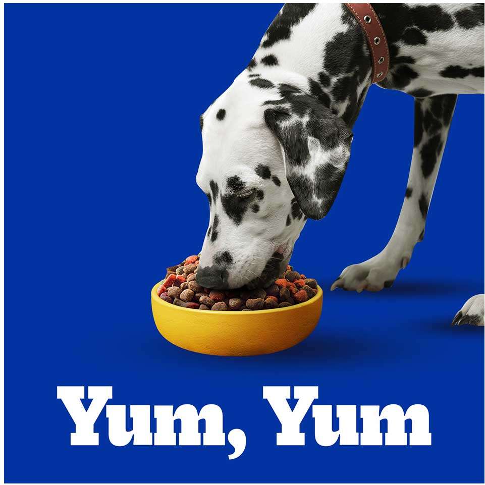 Ração Seca Pedigree Carne e Vegetais para Cães Adultos Raças Médias e Grandes - 7Kg
