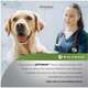 Ração Úmida Optimum Sachê para Cães Adultos Porte Pequeno e Minis Sabor Carne