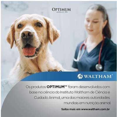 Ração Úmida Optimum Sachê para Cães Adultos Sabor Carne