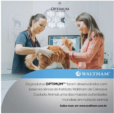 Ração Úmida Optimum Sachê para Gatos Adultos Castrados Sabor Carne