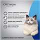 Ração Úmida Optimum Sachê para Gatos Adultos Castrados Sabor Salmão