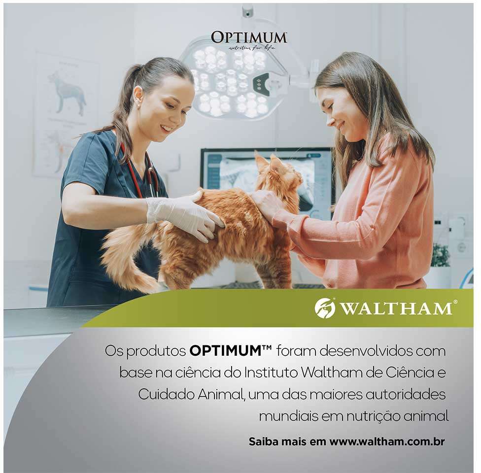 Ração Úmida Optimum Sachê para Gatos Adultos Sabor Carne - 85 g - 60 Unidades