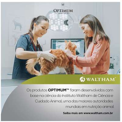 Ração Úmida Optimum Sachê para Gatos Adultos Sabor Carne