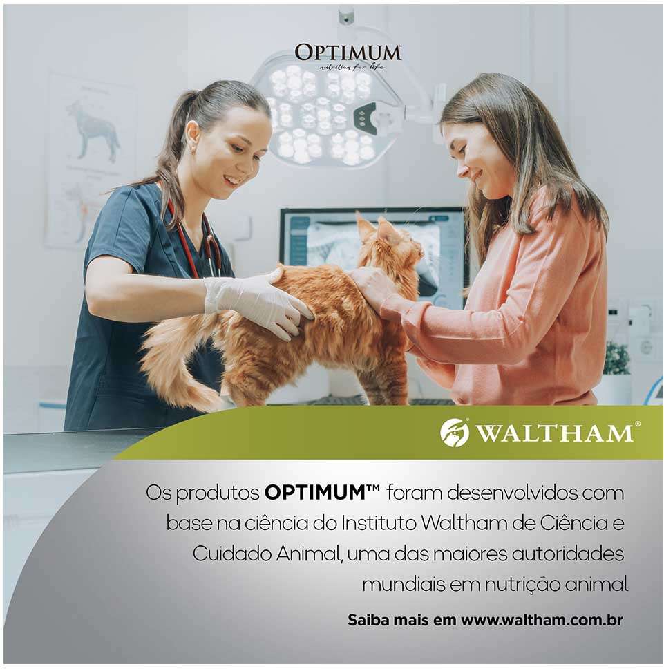 Ração Úmida Optimum Sachê para Gatos Adultos Sabor Salmão - 85 g - 60 Unidades