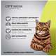 Ração Úmida Optimum Sachê para Gatos Adultos Sabor Salmão