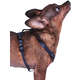 Peitoral H Future Pet Azul Marinho para Cães