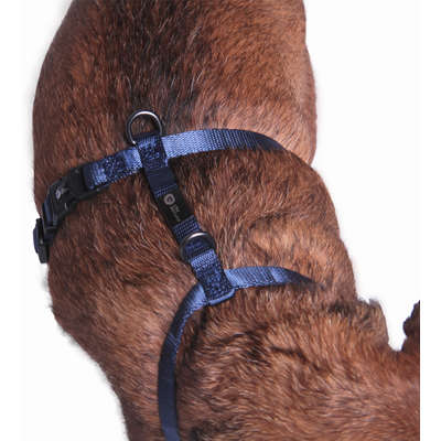 Peitoral H Future Pet Azul Marinho para Cães