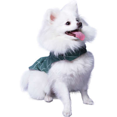 Capa Exclusive Verde