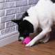 Mordedor Spike Kroco Rosa para Cães