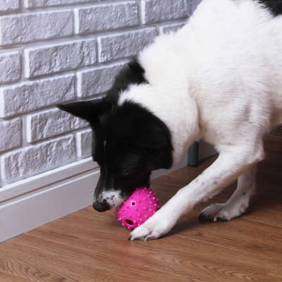 Mordedor Spike Kroco Rosa para Cães