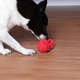 Brinquedo Bola com Mordedor Kroco Vermelho para Cães