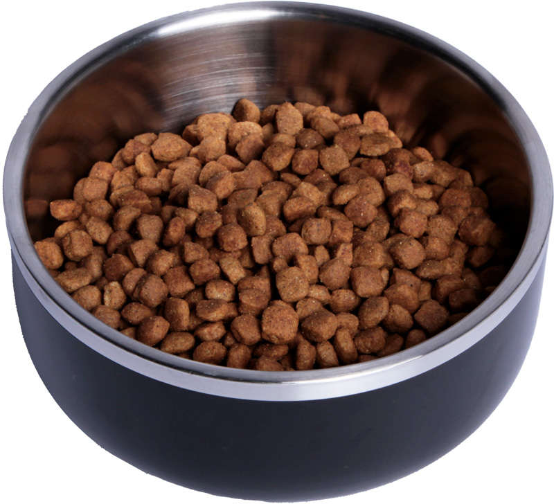 Bowl Future Pet para Cães e Gatos - 1100 mL