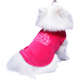 Moleton Pickorruchos Degradê Pink
